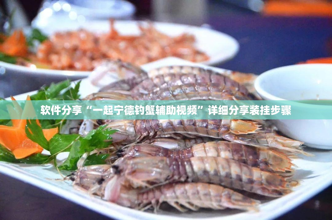 软件分享“一起宁德钓蟹辅助视频”详细分享装挂步骤