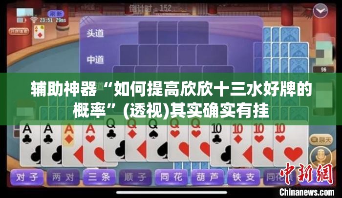 辅助神器“如何提高欣欣十三水好牌的概率”(透视)其实确实有挂