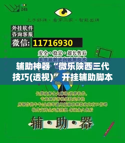 辅助神器“微乐陕西三代技巧(透视)	”开挂辅助脚本+详细开挂安装教程