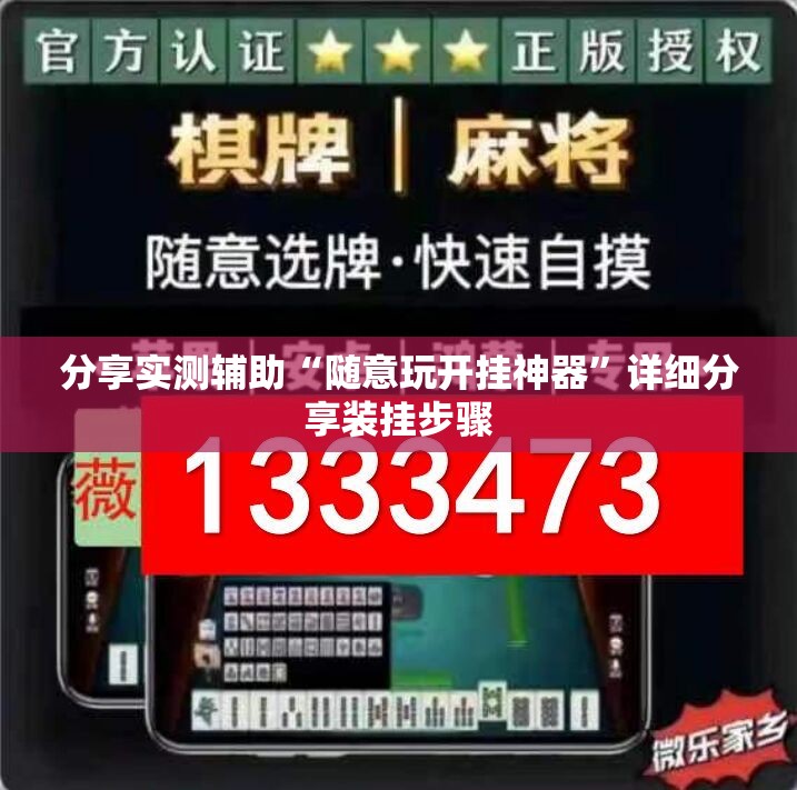 分享实测辅助“随意玩开挂神器”详细分享装挂步骤