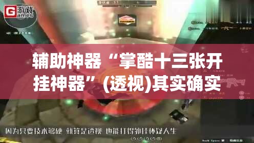 辅助神器“掌酷十三张开挂神器”(透视)其实确实有挂