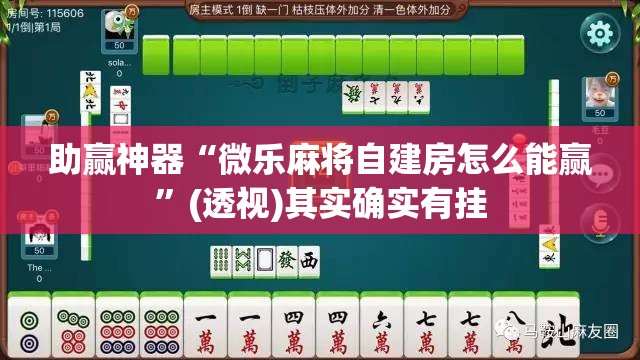 助赢神器“微乐麻将自建房怎么能赢”(透视)其实确实有挂