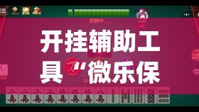 开挂辅助工具“微乐保皇怎么能让牌好一点”(透视)其实确实有挂