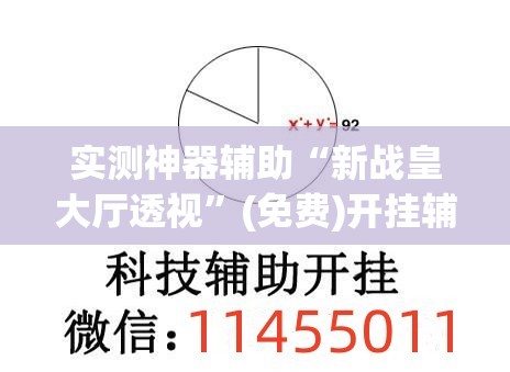 实测神器辅助“新战皇大厅透视	”(免费)开挂辅助教学(最新辅助开挂教程)