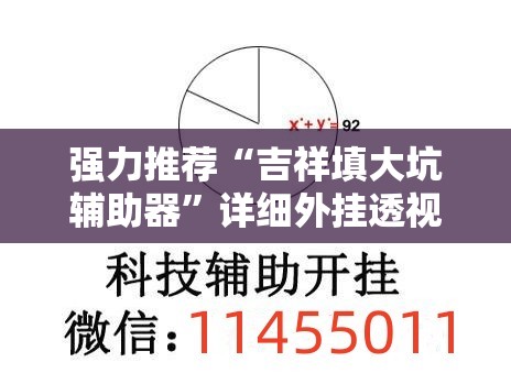强力推荐“吉祥填大坑辅助器”详细外挂透视辅助软件教程