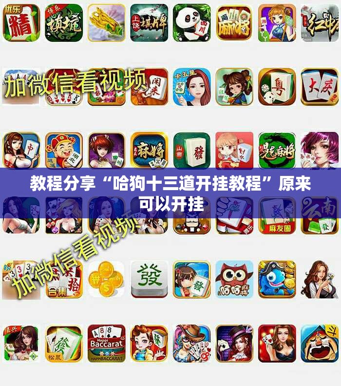 教程分享“哈狗十三道开挂教程	”原来可以开挂