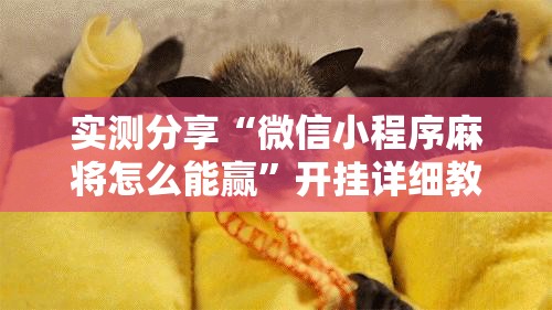 实测分享“微信小程序麻将怎么能赢”开挂详细教程
