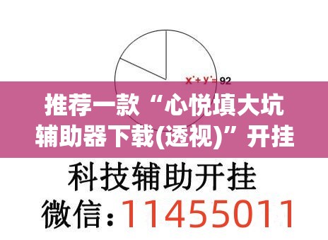 推荐一款“心悦填大坑辅助器下载(透视)”开挂辅助脚本+详细开挂安装教程