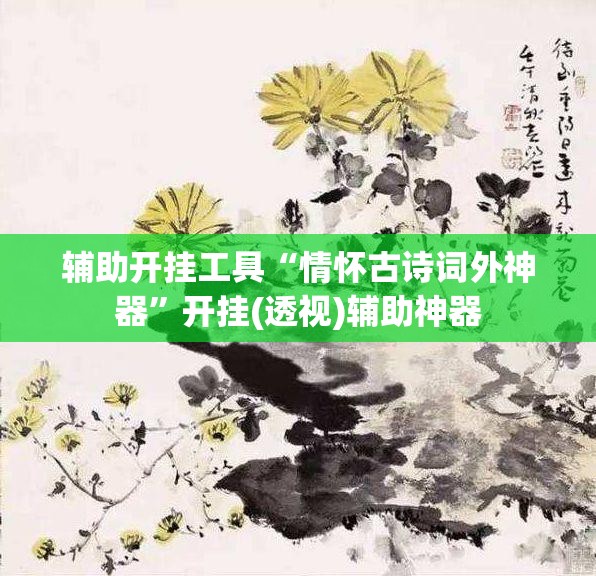 辅助开挂工具“情怀古诗词外神器”开挂(透视)辅助神器