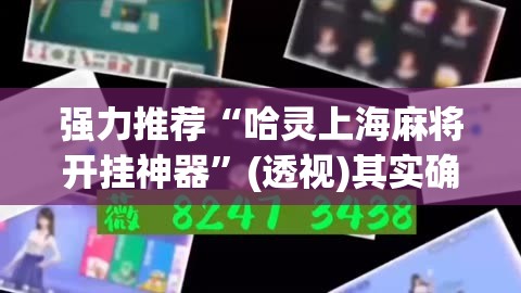 强力推荐“哈灵上海麻将开挂神器”(透视)其实确实有挂