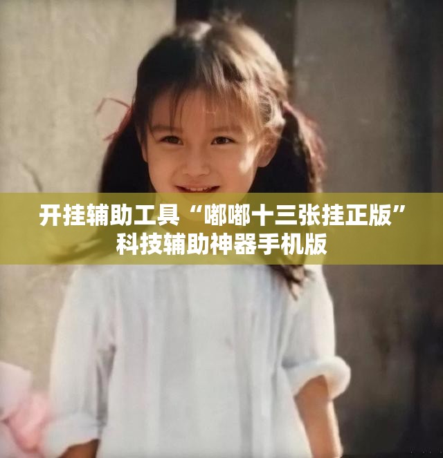 开挂辅助工具“嘟嘟十三张挂正版”科技辅助神器手机版