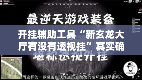 开挂辅助工具“新玄龙大厅有没有透视挂	”其实确实有挂