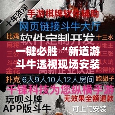 一键必胜“新道游斗牛透视现场安装”详细分享装挂步骤