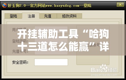开挂辅助工具“哈狗十三道怎么能赢”详细外挂透视辅助软件教程