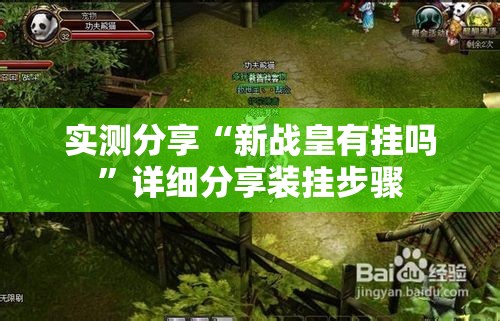 实测分享“新战皇有挂吗”详细分享装挂步骤