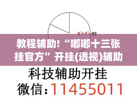 教程辅助!“嘟嘟十三张挂官方”开挂(透视)辅助教程