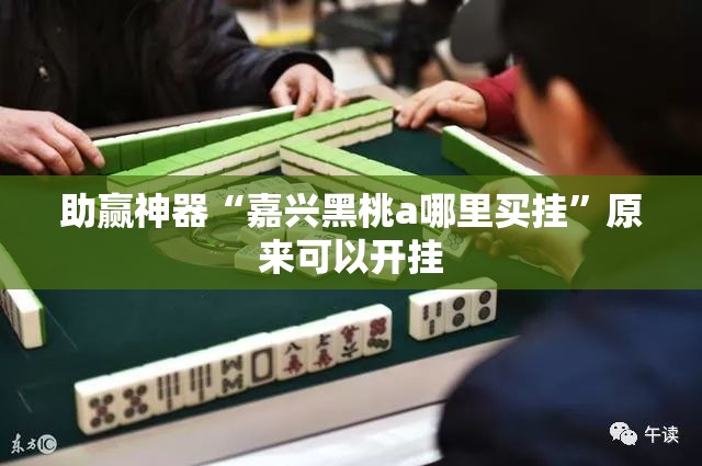 助赢神器“嘉兴黑桃a哪里买挂”原来可以开挂