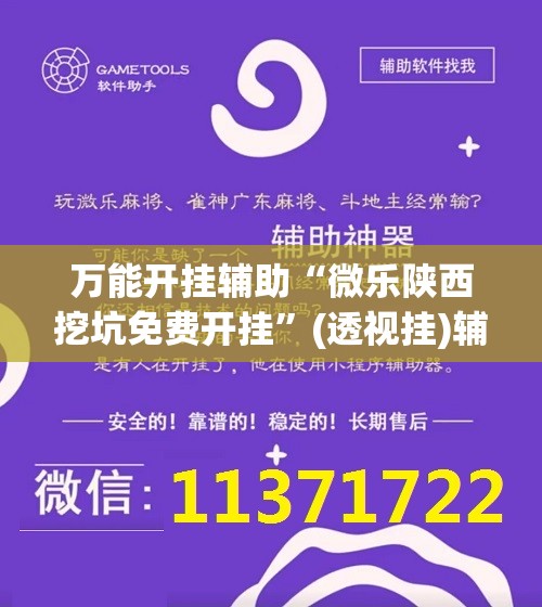 万能开挂辅助“微乐陕西挖坑免费开挂”(透视挂)辅助下载教程