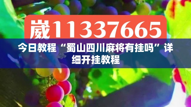 今日教程“蜀山四川麻将有挂吗”详细开挂教程