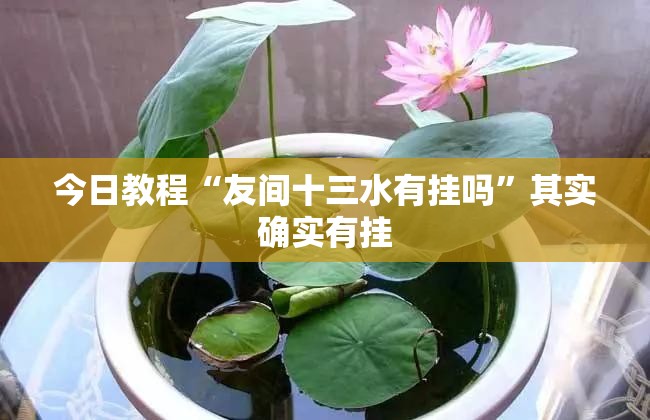 今日教程“友间十三水有挂吗”其实确实有挂