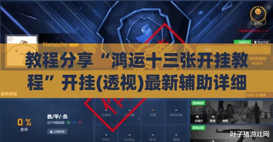 教程分享“鸿运十三张开挂教程”开挂(透视)最新辅助详细