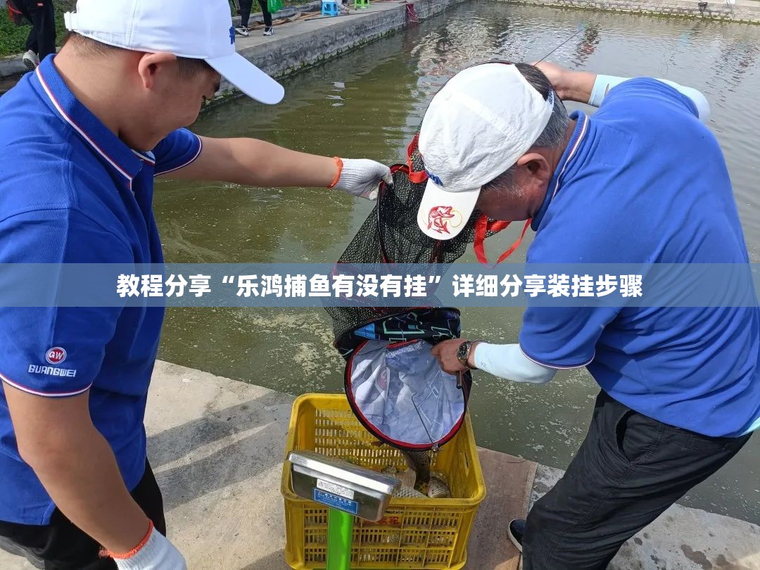 教程分享“乐鸿捕鱼有没有挂”详细分享装挂步骤