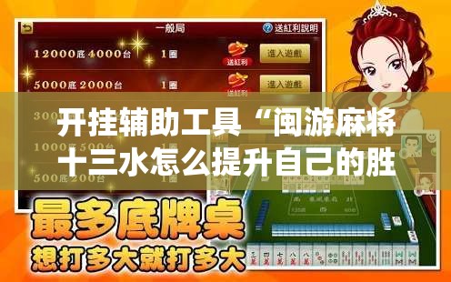 开挂辅助工具“闽游麻将十三水怎么提升自己的胜率”开挂(透视)辅助神器