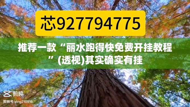 推荐一款“丽水跑得快免费开挂教程”(透视)其实确实有挂