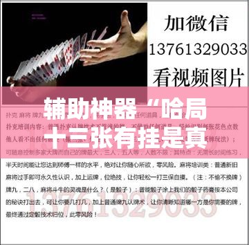 辅助神器“哈局十三张有挂是真是假”详细开挂教程