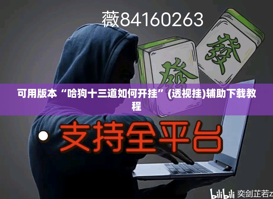 可用版本“哈狗十三道如何开挂”(透视挂)辅助下载教程