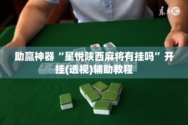 助赢神器“星悦陕西麻将有挂吗	”开挂(透视)辅助教程