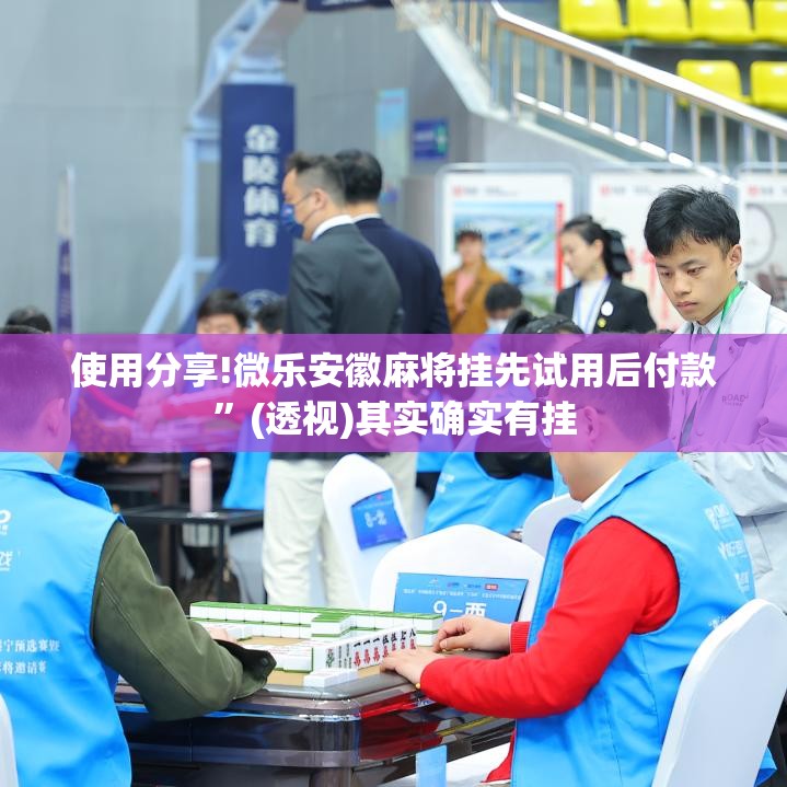 使用分享!微乐安徽麻将挂先试用后付款”(透视)其实确实有挂